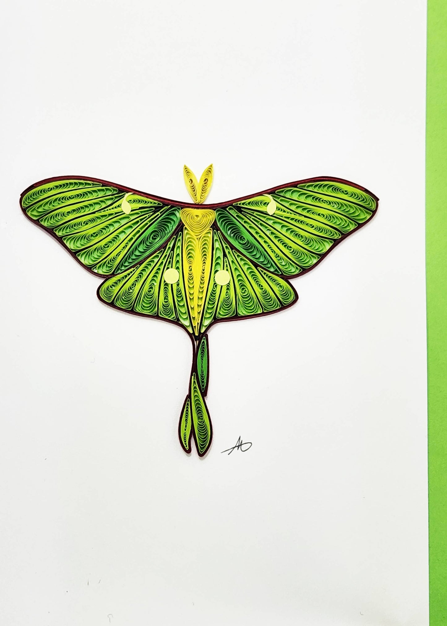 Moth Quilled Greeting Card
