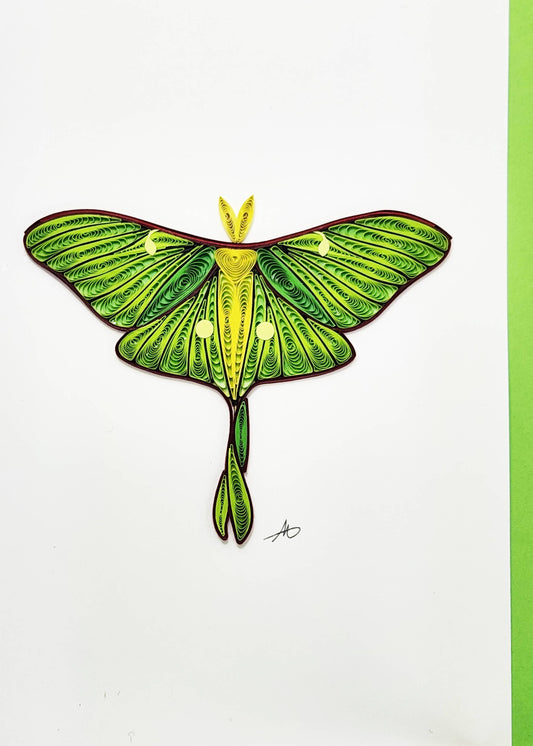 Moth Quilled Greeting Card
