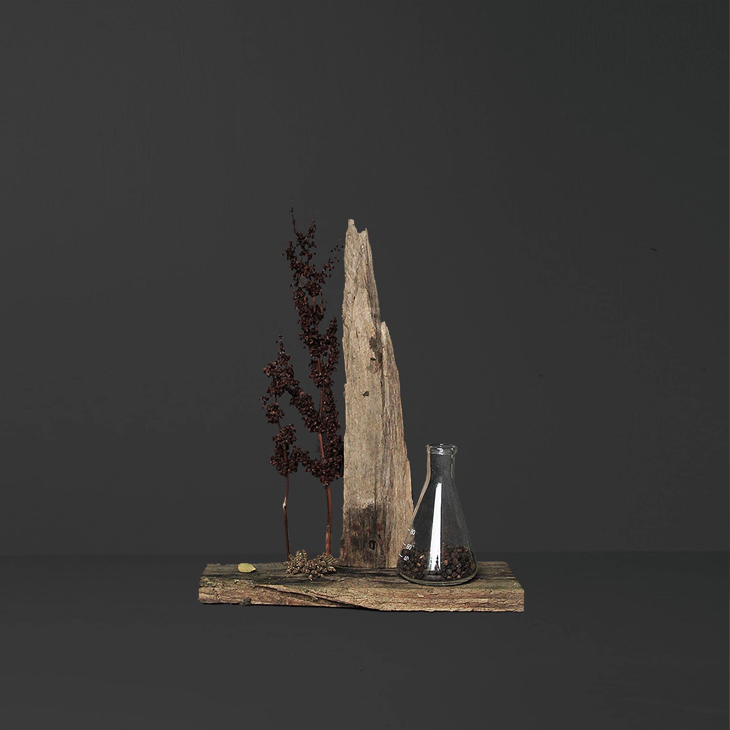 Woodlore Candle 12 oz.