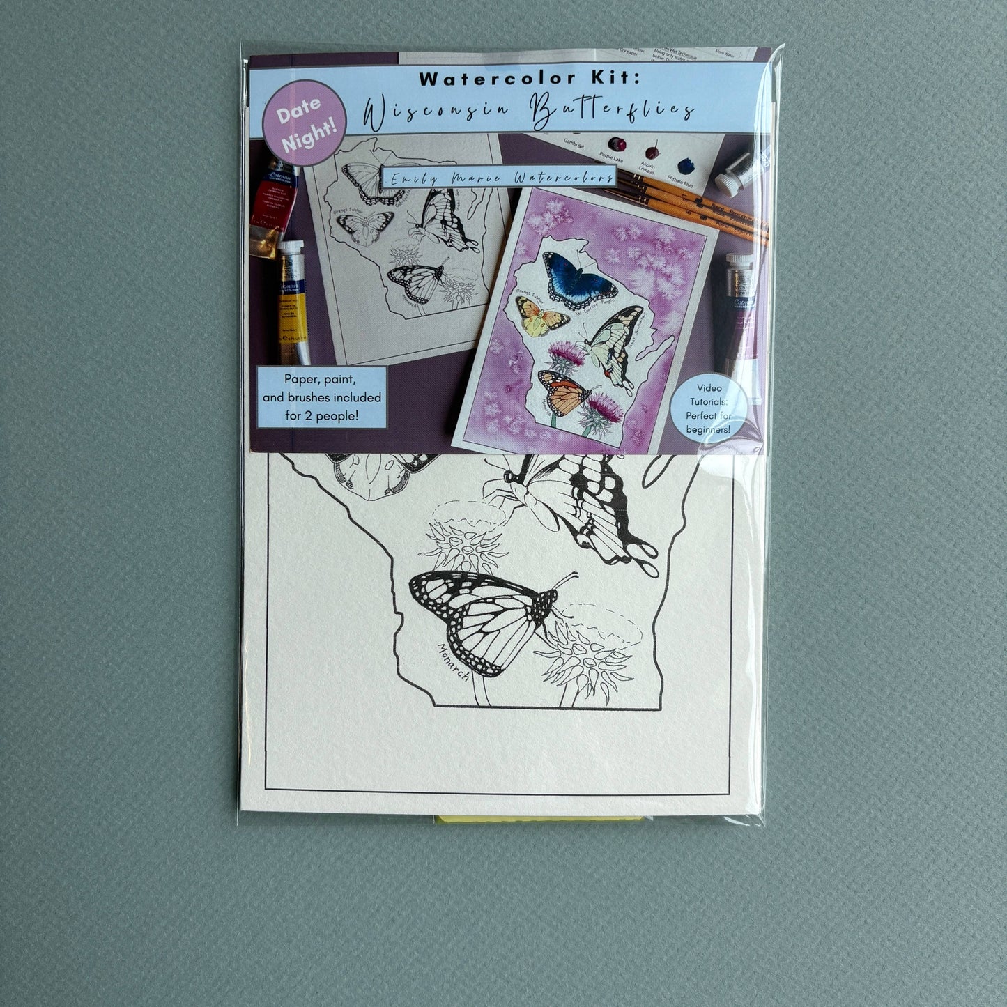 Watercolor Date Night Kit: Wisconsin Butterflies