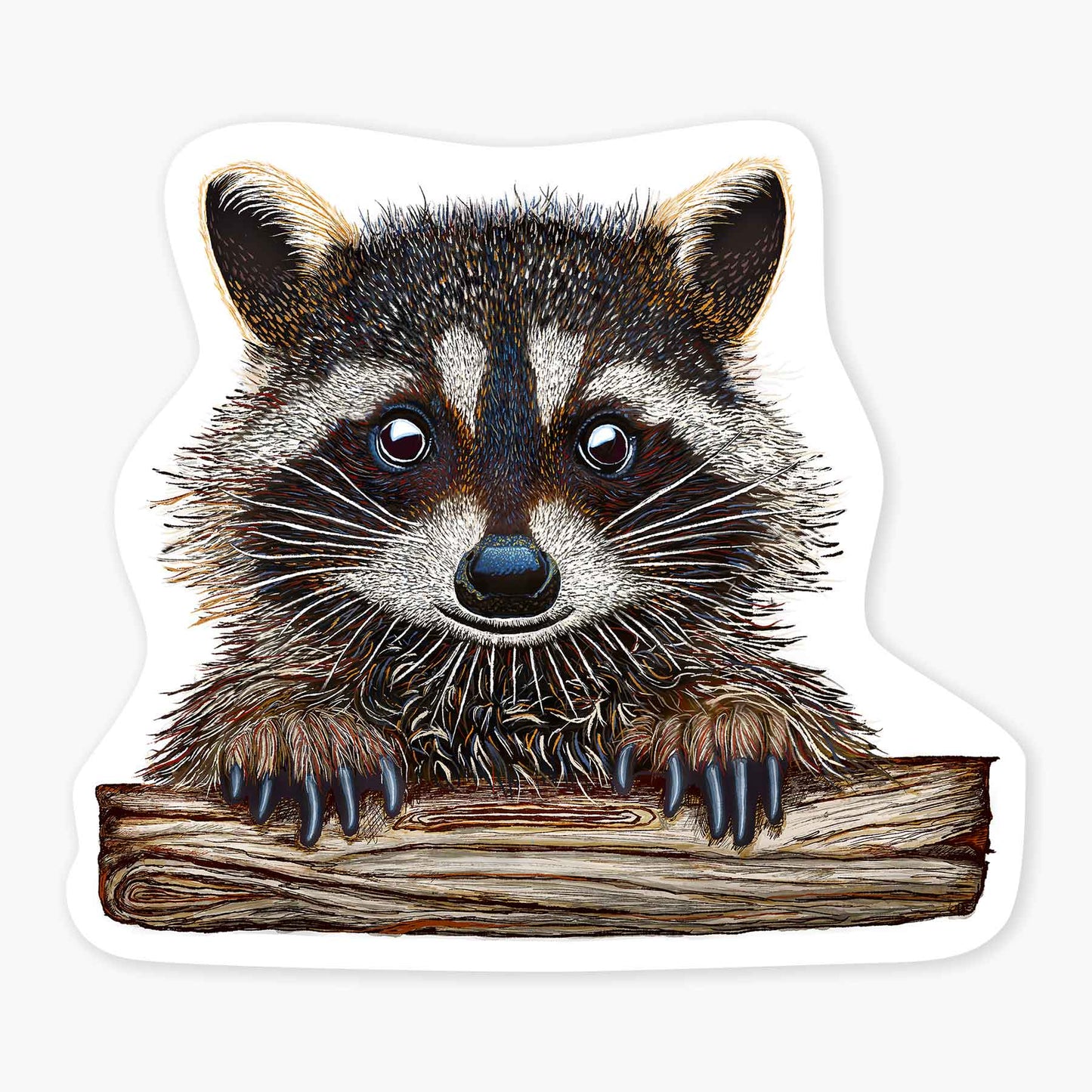 Rocky the Raccoon - 3" Art Sticker