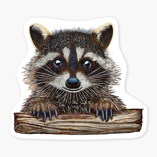 Rocky the Raccoon - 3" Art Sticker