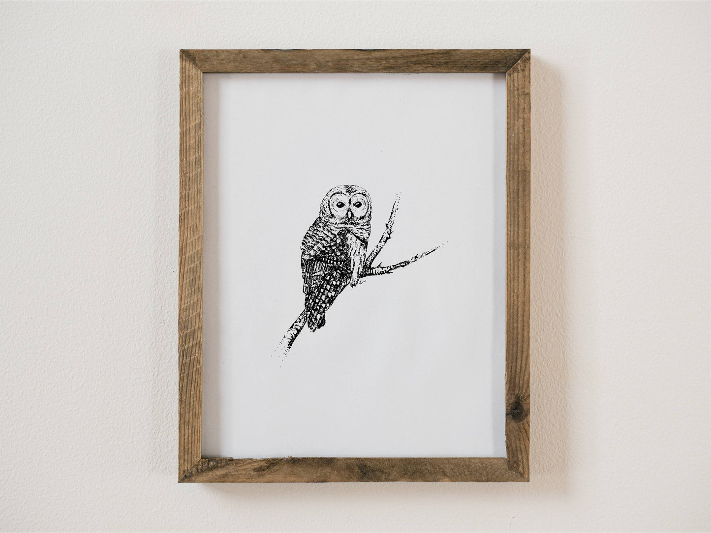 Barred Owl Giclée 8x10 Art Print
