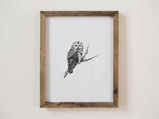 Barred Owl Giclée 8x10 Art Print