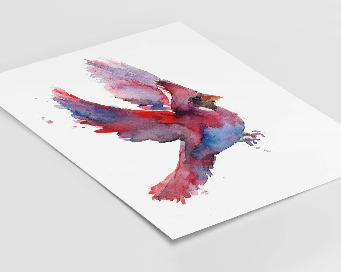 "Cordelia the Cardinal" Cardinal Giclée Print: 8" x 10"