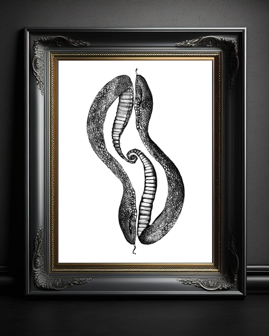 Snake Duo Art Print 8x10
