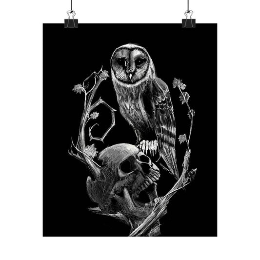 Skull and Owl Art Print 8x10