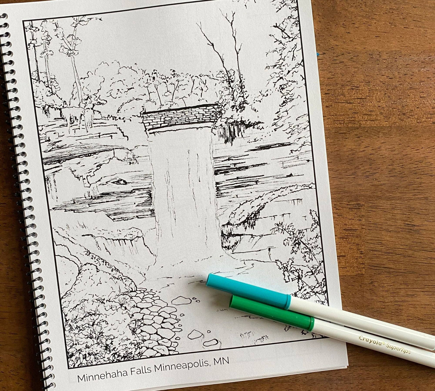 Minnesota Coloring Book