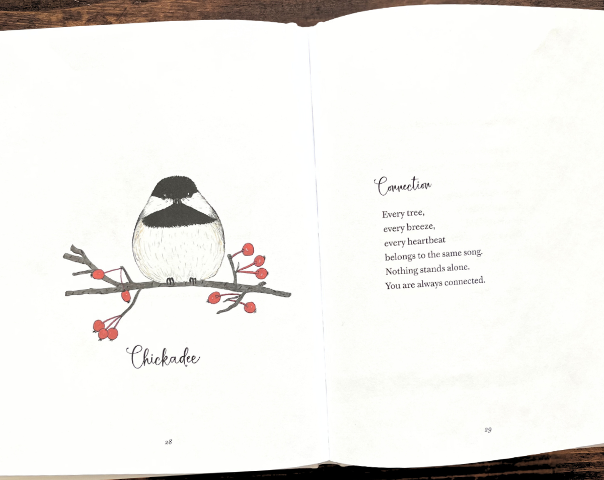 Little Birdie Buddies of Hope Book