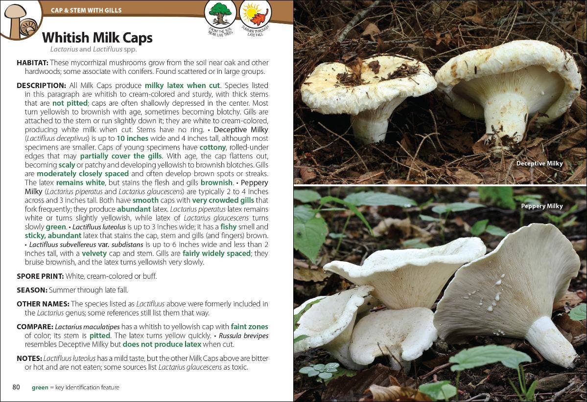 Mushrooms of Upper Midwest 2e