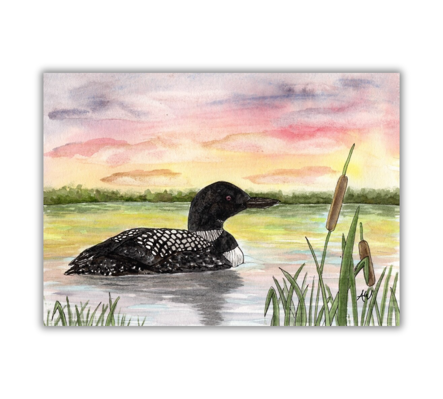 Loon at Sunset - Pen and Watercolor Painting Fine Art Print: 8x10 inches