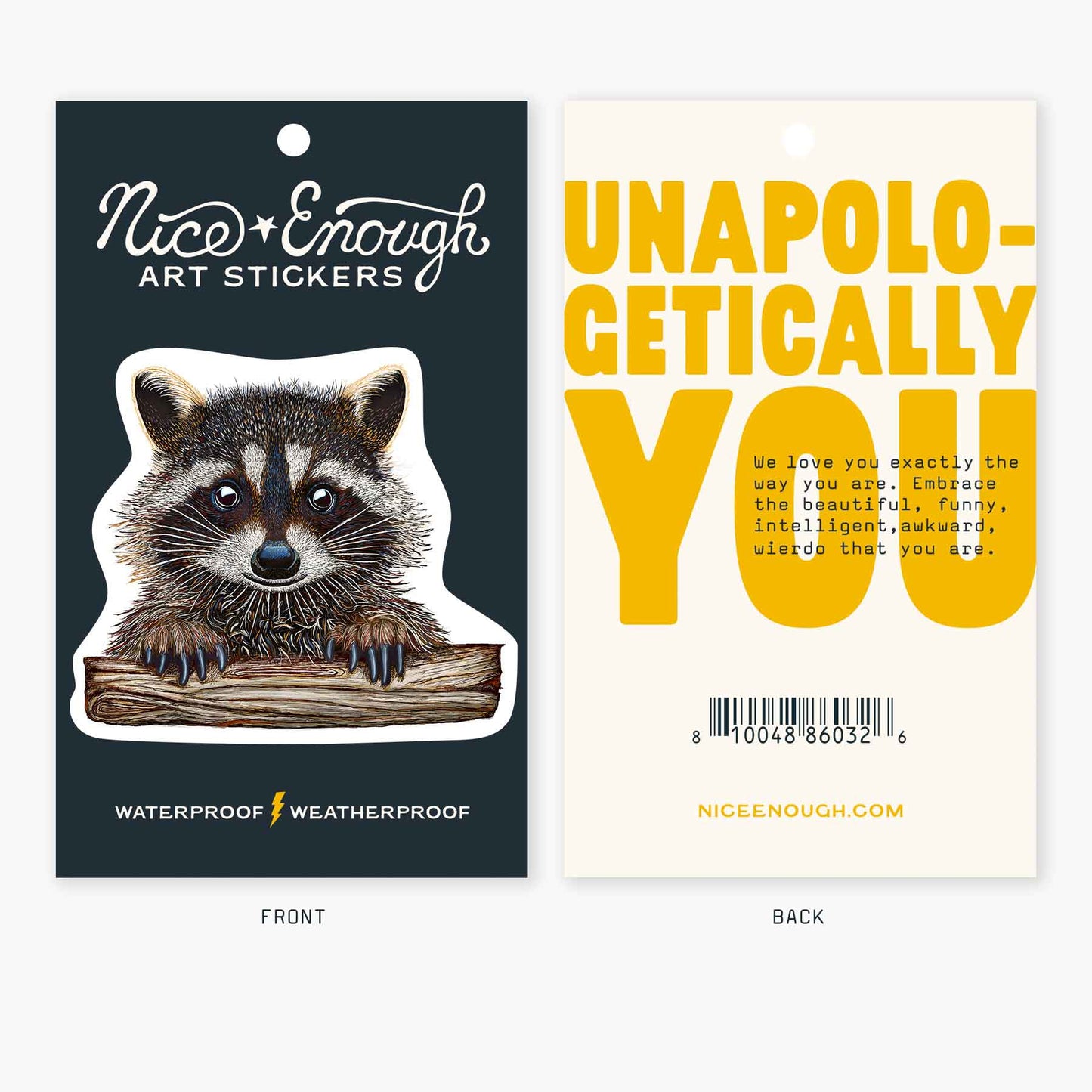 Rocky the Raccoon - 3" Art Sticker