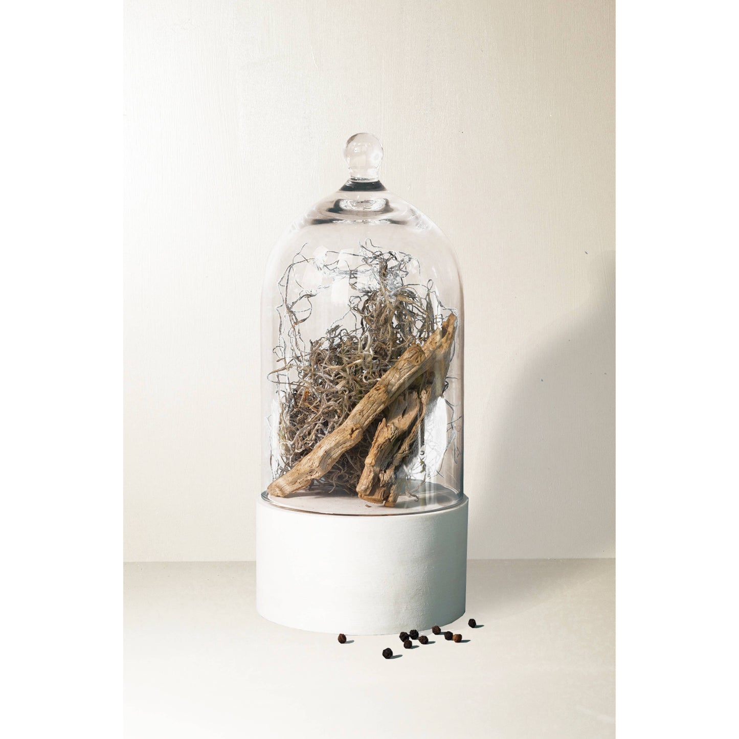 Dried Cedar + Moss Candle 7.75 oz.