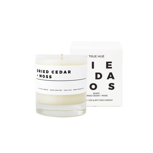 Dried Cedar + Moss Candle 7.75 oz.